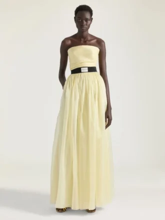 Bustier Evening Dress in Organza