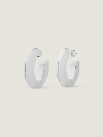 Chain Earrings in Metal