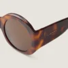 Cocoon Sunglasses in Acetate